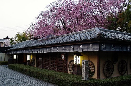 桜の下で湯豆腐