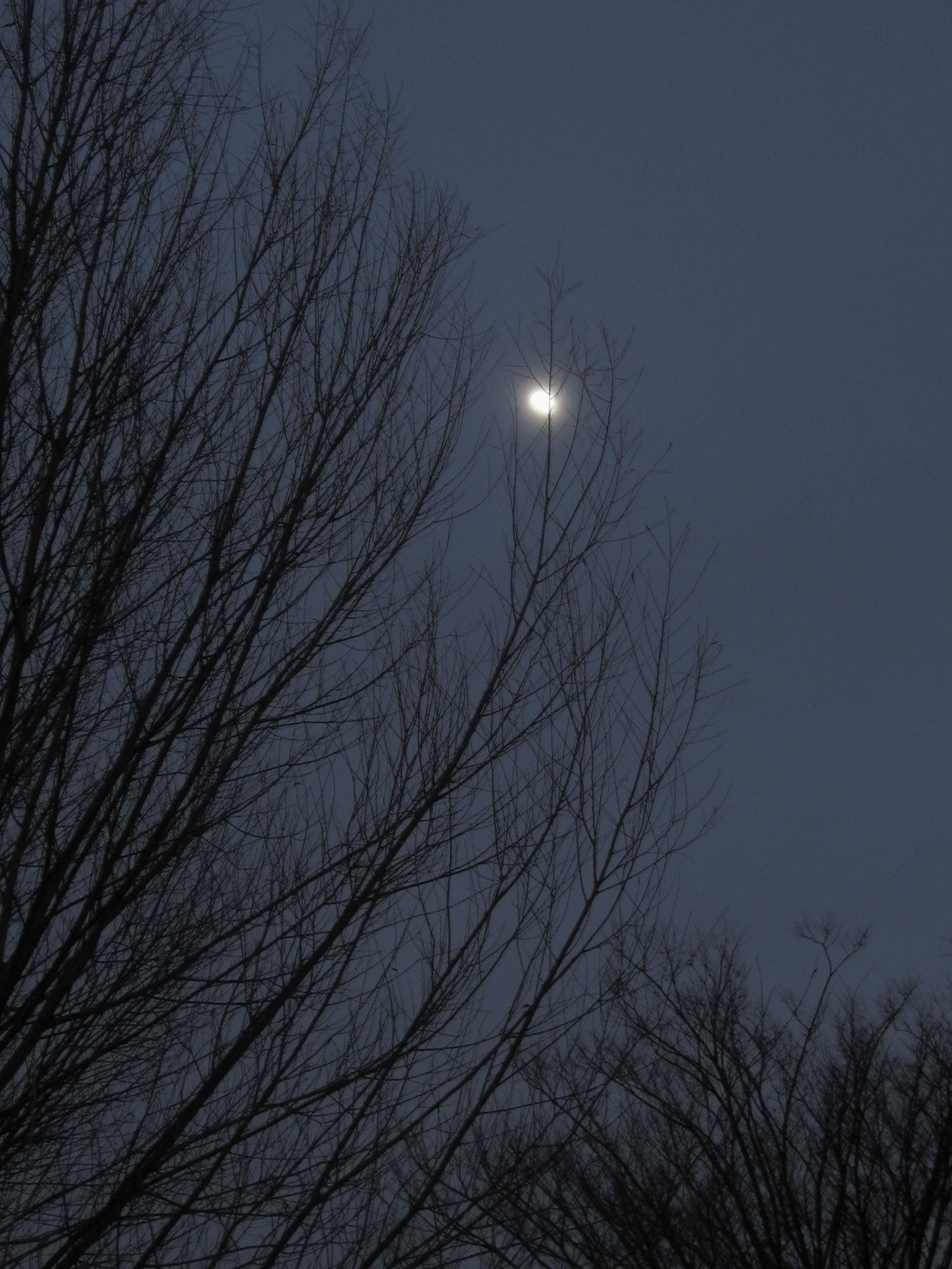 朧月夜