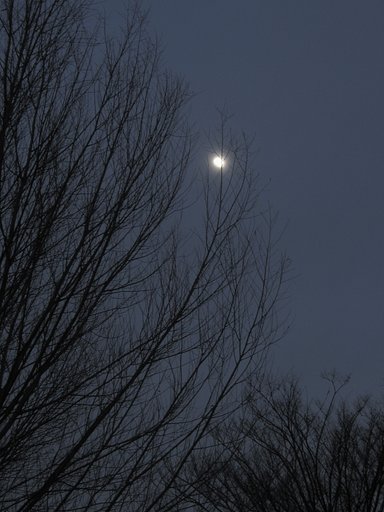 朧月夜