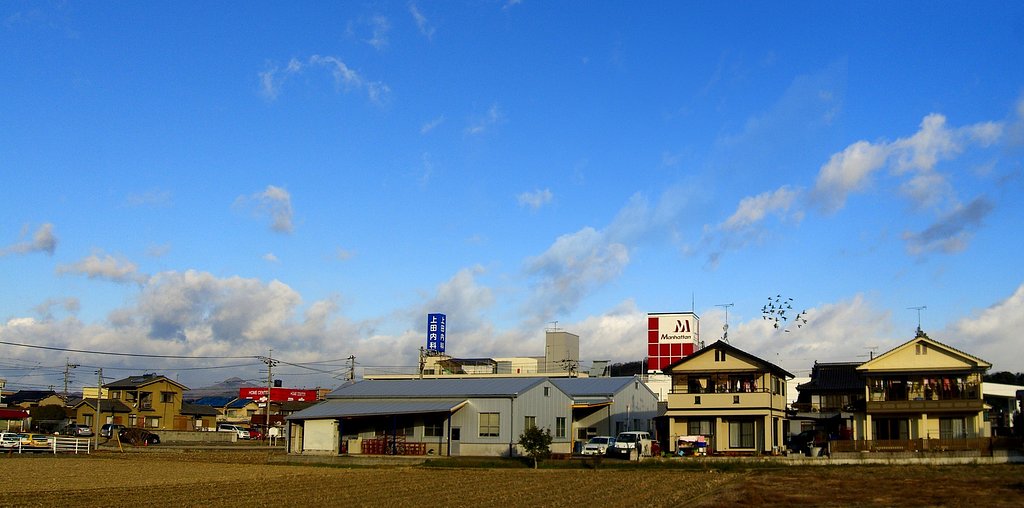 快晴です