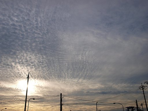 鰯雲?