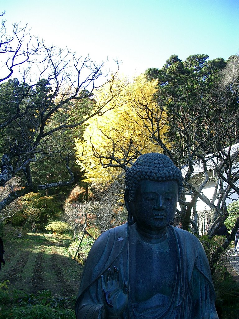 〜　いざ鎌倉（東慶寺-07）　〜
