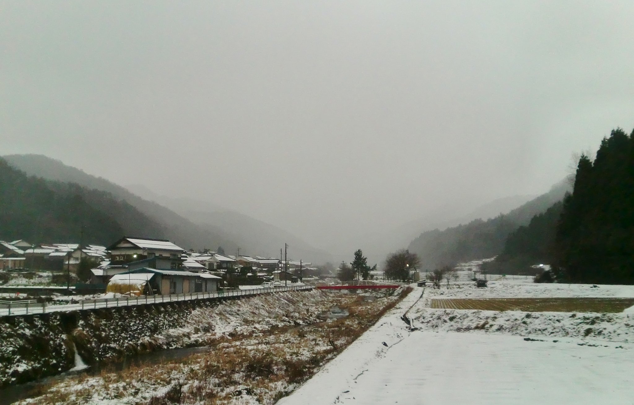 水っぽい雪が降ってます！
