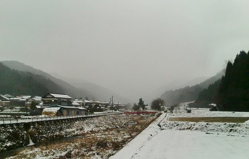 水っぽい雪が降ってます！