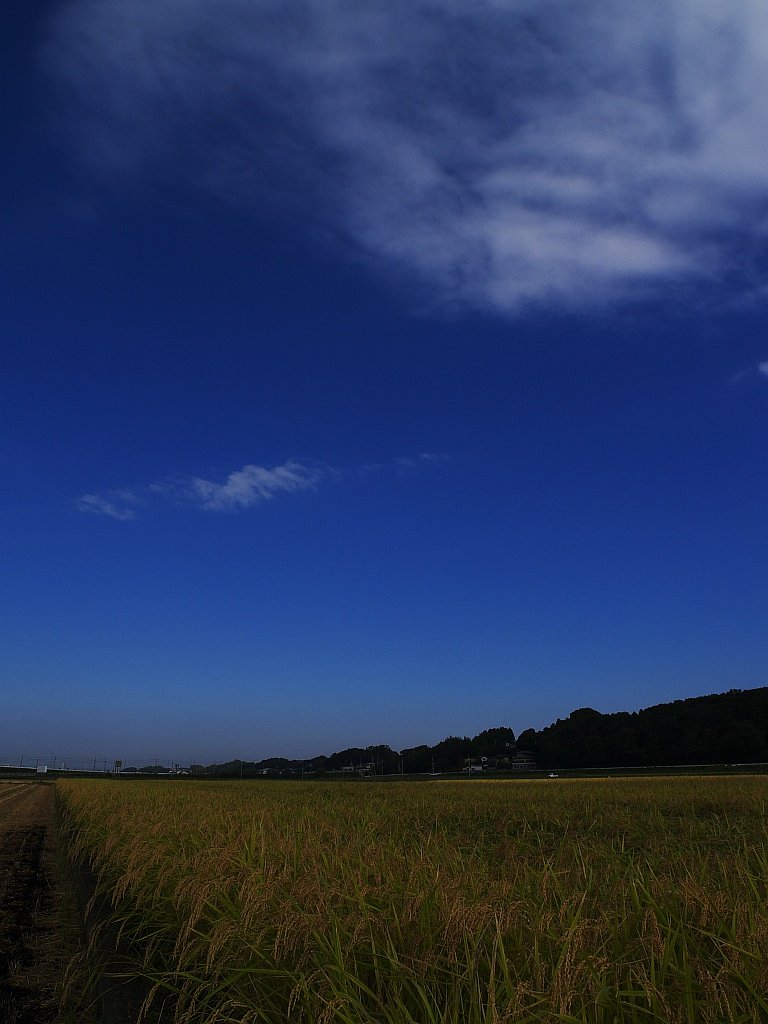 E-300の青空・・・^^;