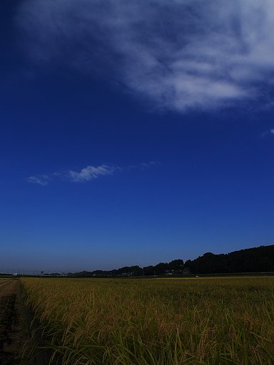 E-300の青空・・・^^;