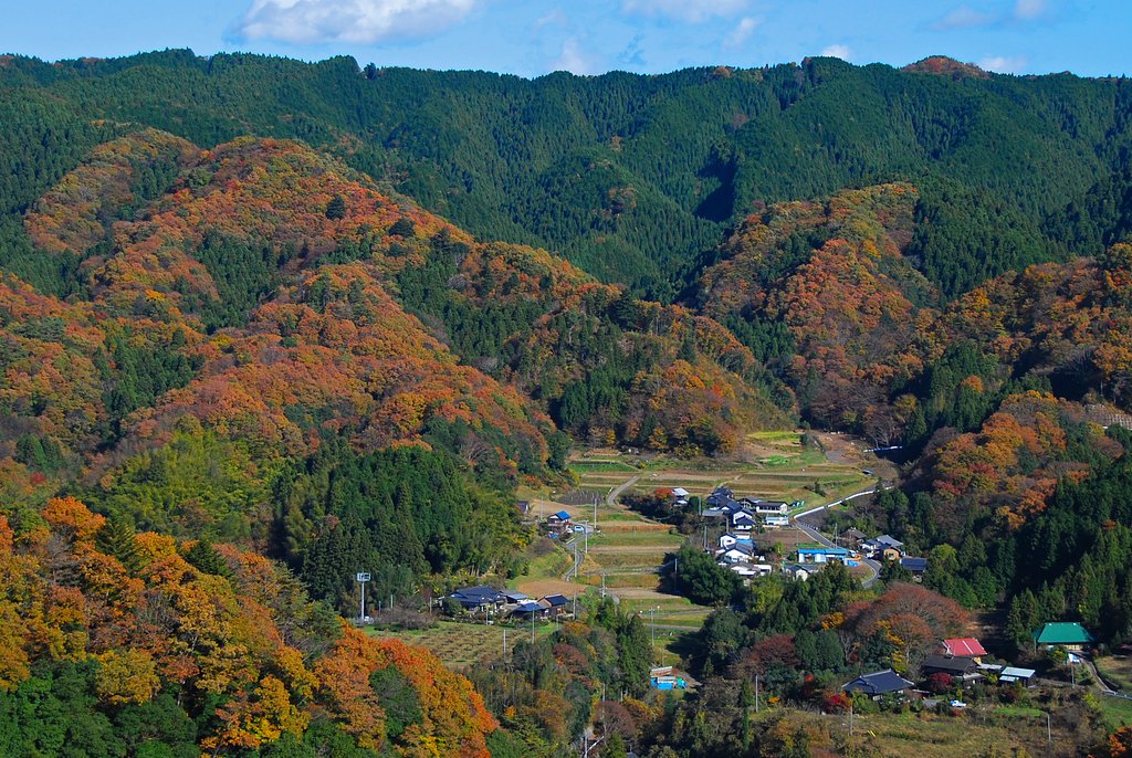 晩秋の山里