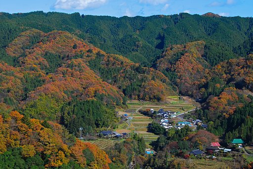 晩秋の山里