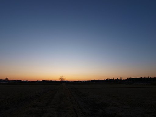 夕焼け・・・・