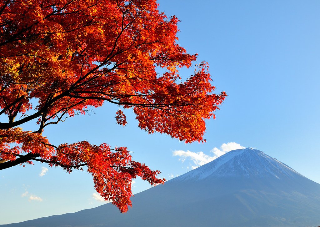 晩秋の紅色
