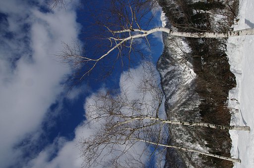 雪山に生きる