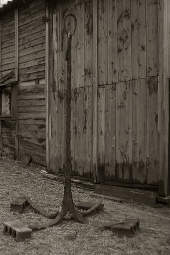 【ノスタルジー】いかり