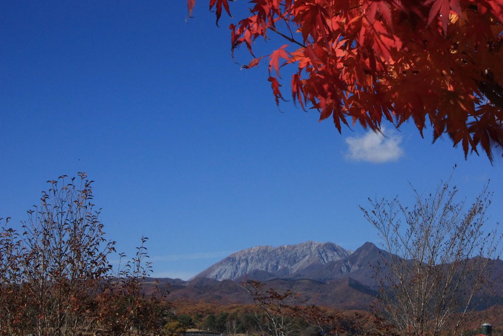 遠く大山を望む