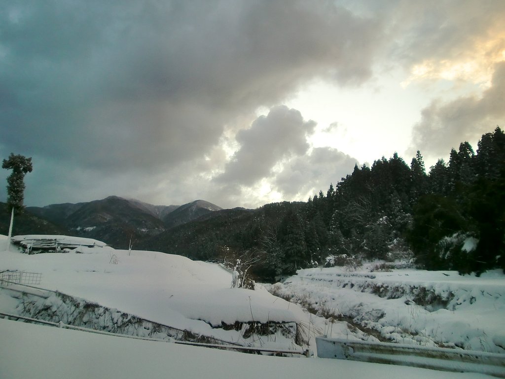 今朝の東の空