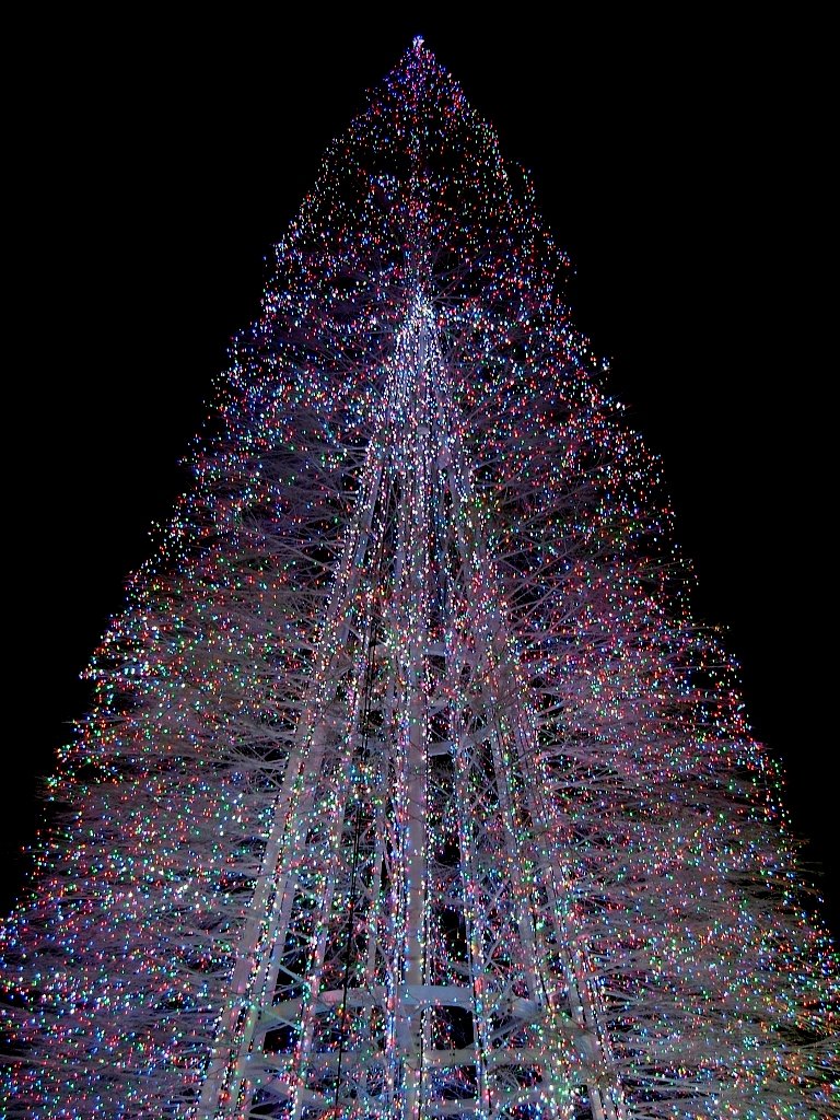 熱海のクリスマス　ツリ〜〜