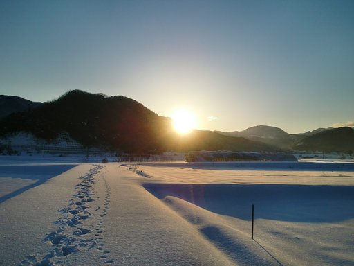 今朝の日の出！