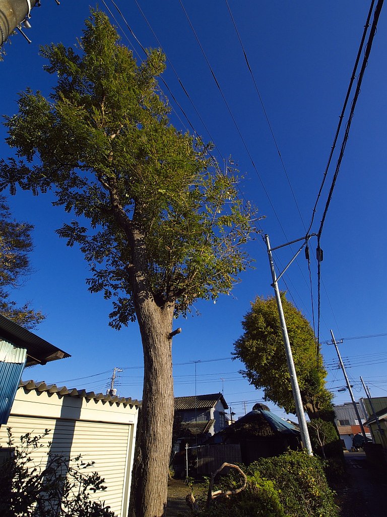 青空・・・