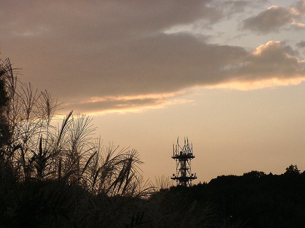 ◆秋の夕暮れ-14