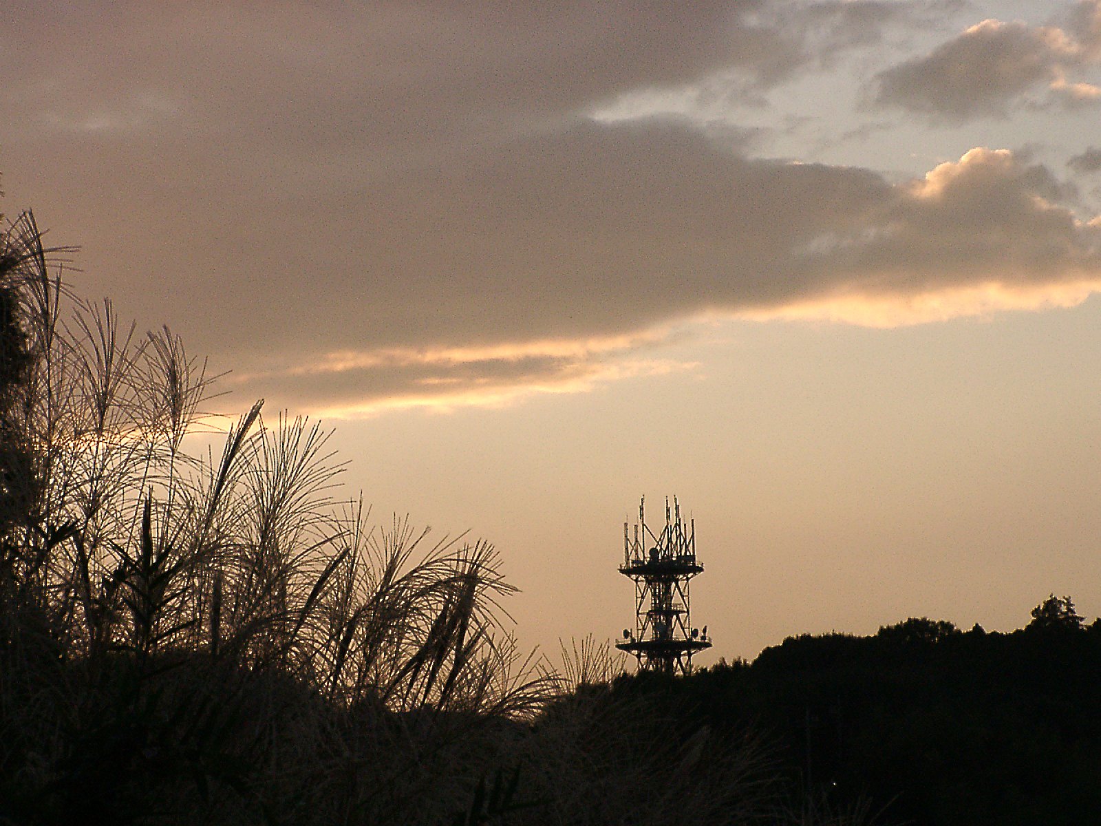 ◆秋の夕暮れ-14