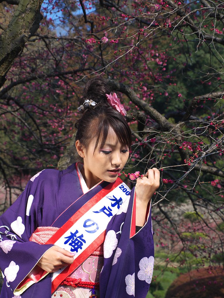 【2008】梅・・・