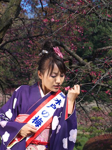 【2008】梅・・・