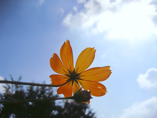 秋の空