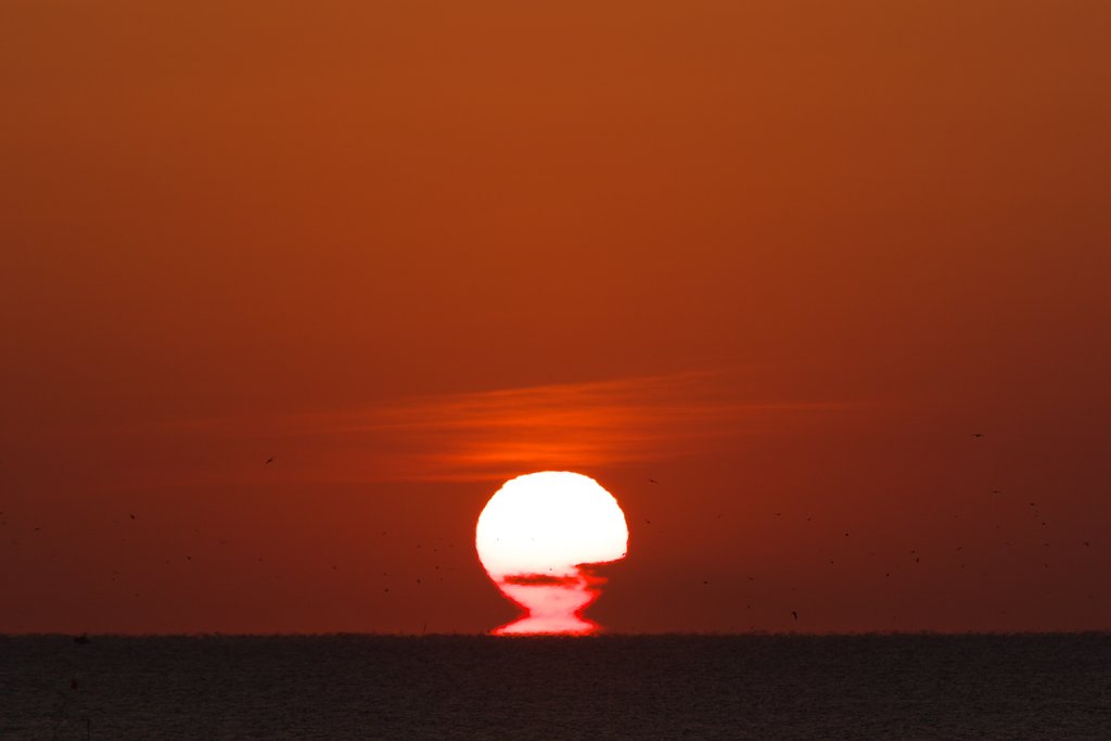 日の出