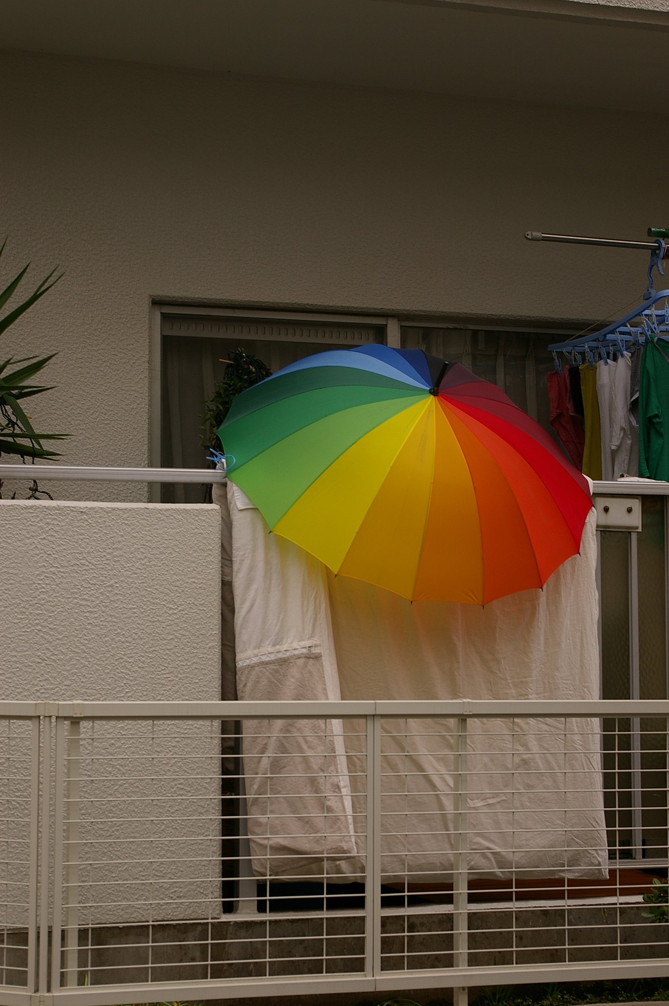 お天気になあれ