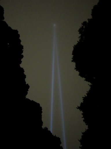 暗闇の明治神宮参道の夜景