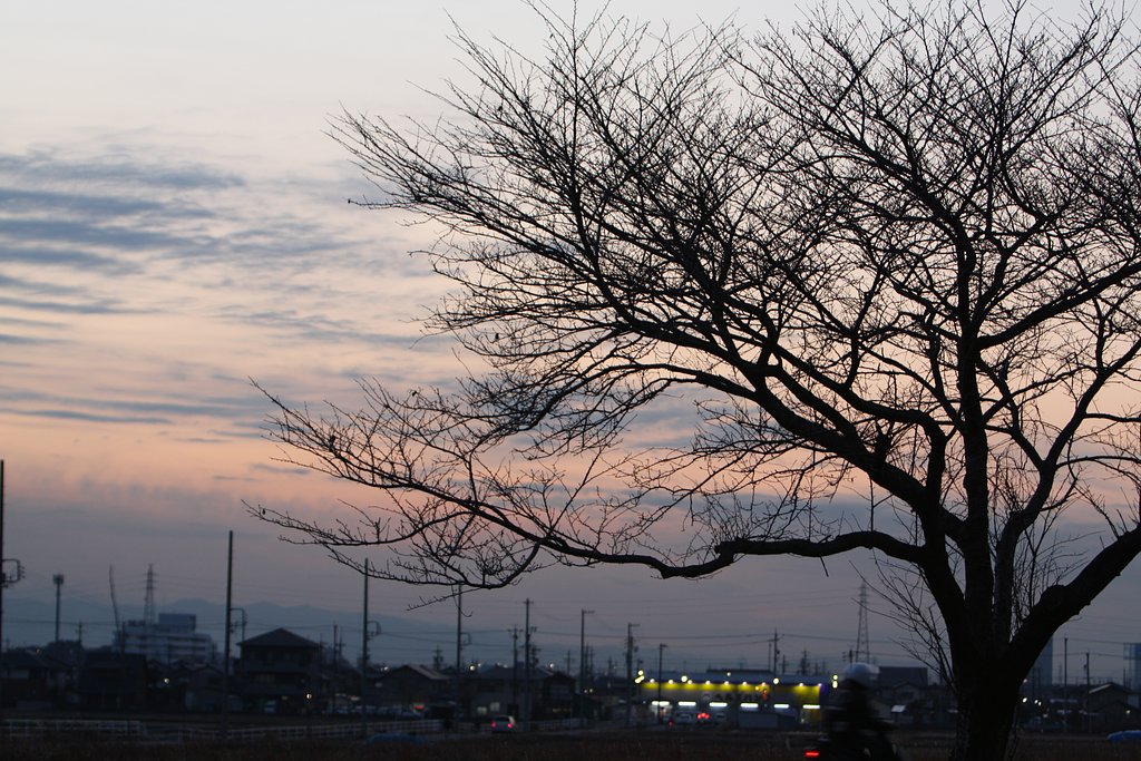 地方都市の夕暮れ
