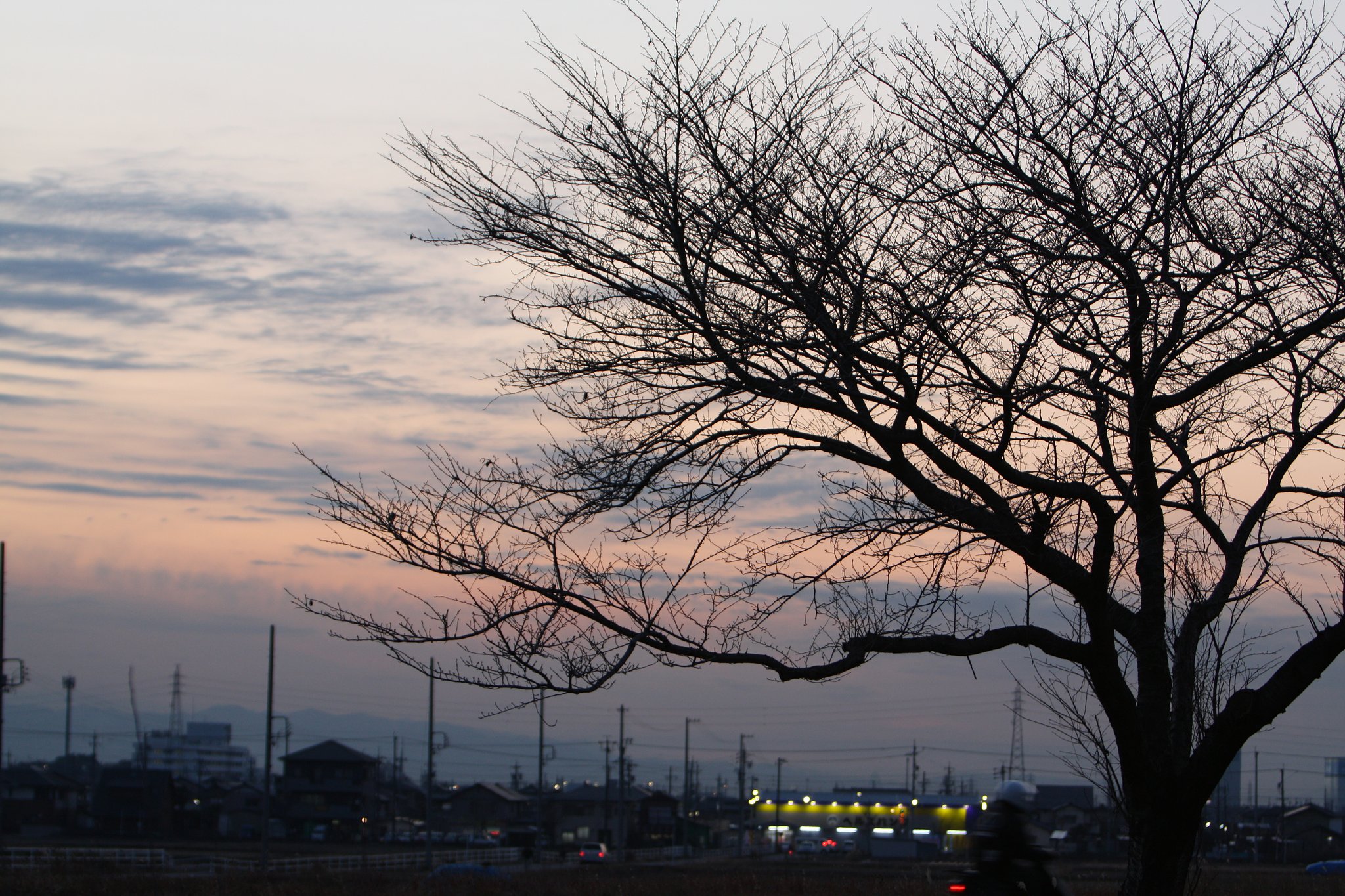 地方都市の夕暮れ
