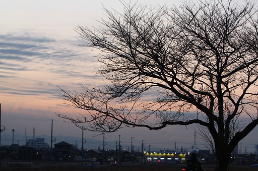 地方都市の夕暮れ