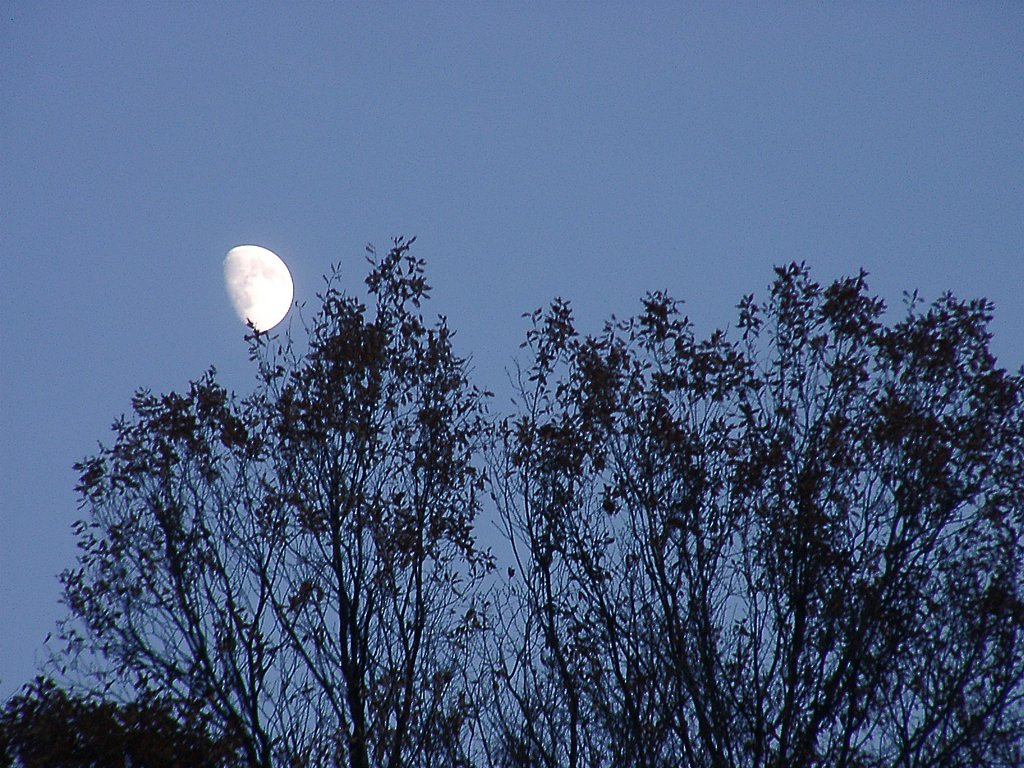 ★年の瀬の夕暮れ②
