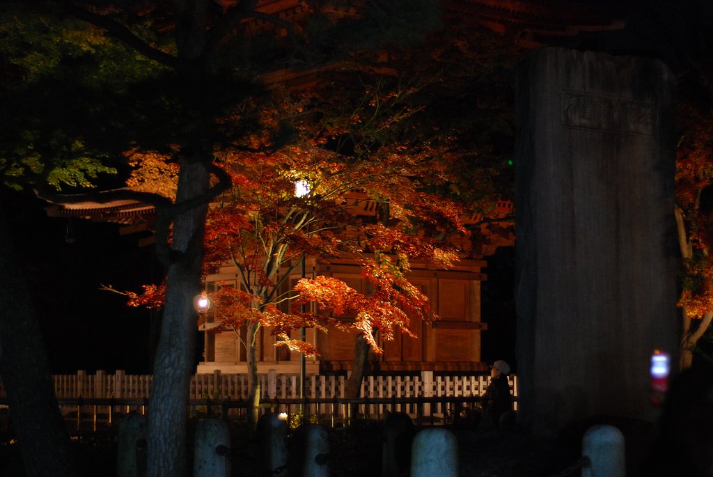 豪徳寺の紅葉
