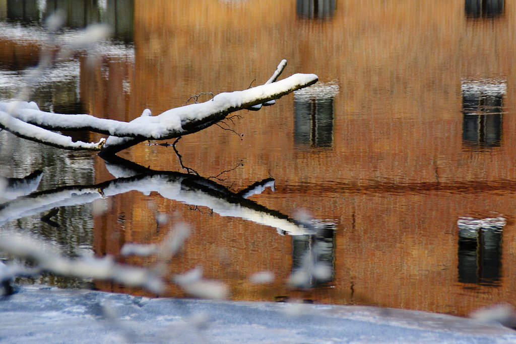 Winter