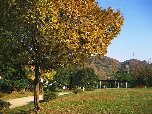 【2008】晩秋の京都宇治黄檗