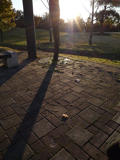 公園にて