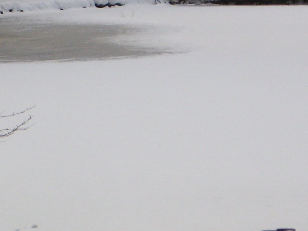 雪