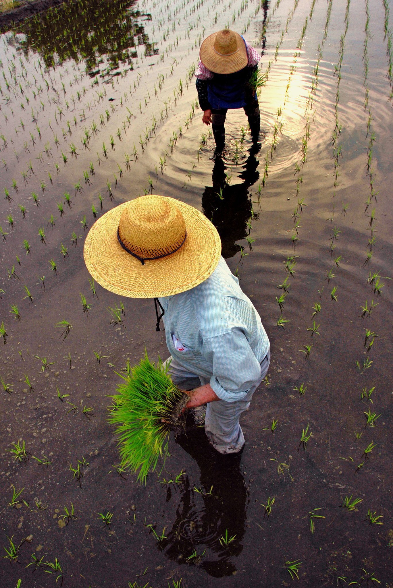【２００８】 夫　婦