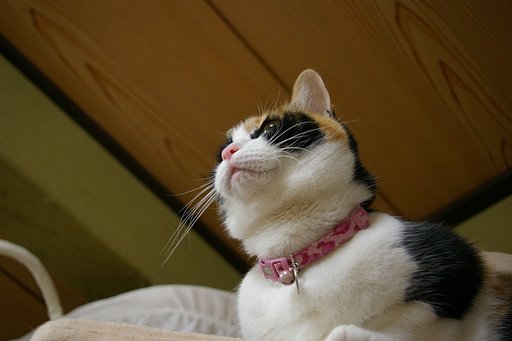 暖かい空気は上にいく