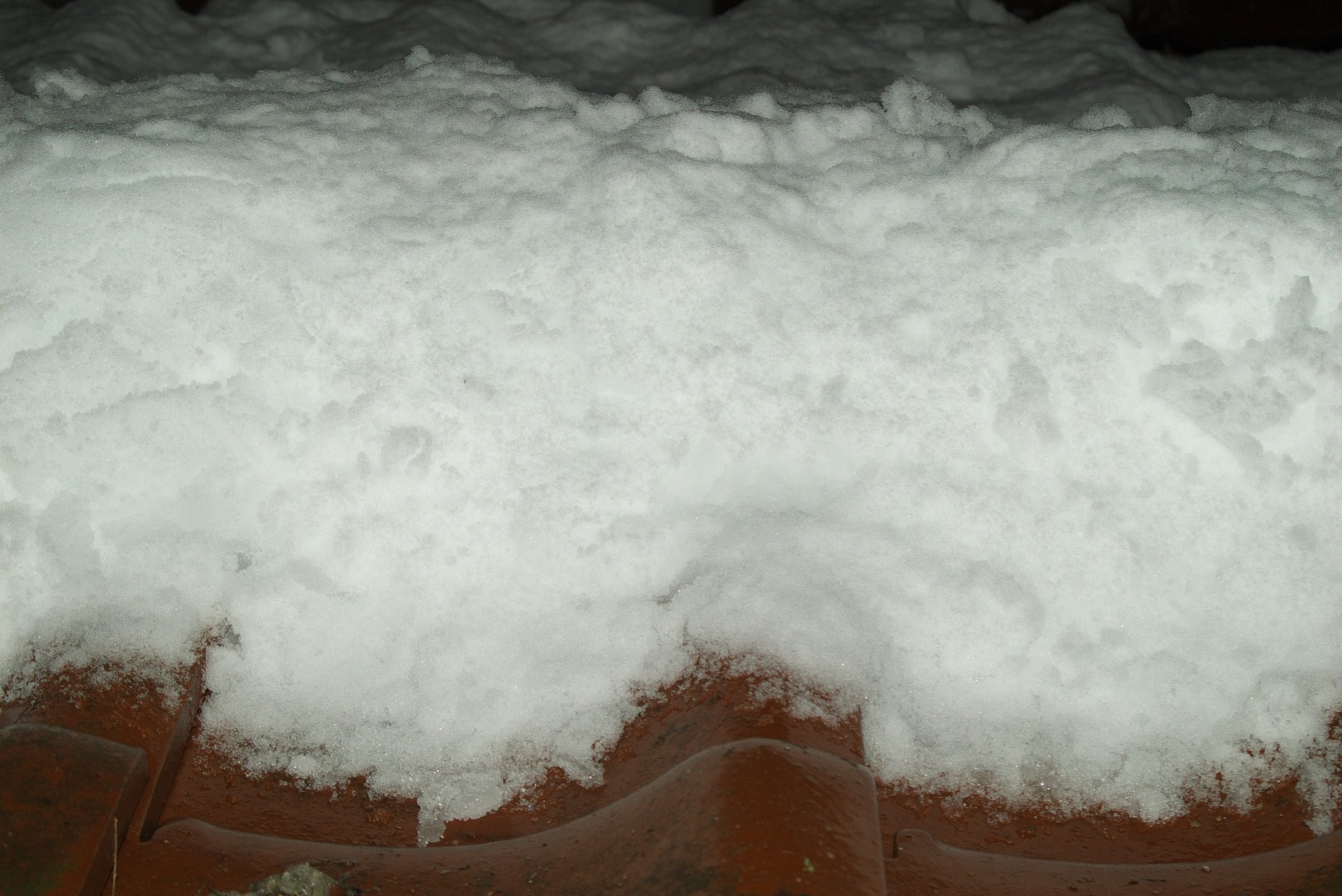 元旦の積雪