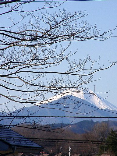 ■我が家から見た元日の富士