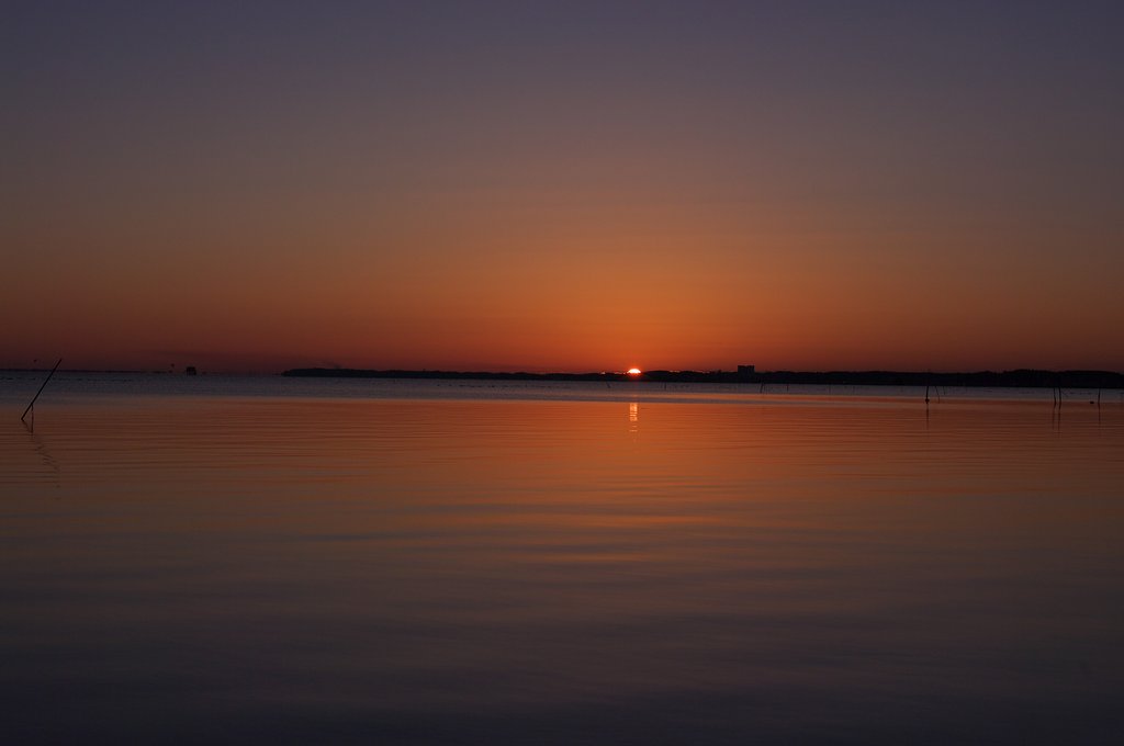 【トキメキの色】RISING SUN・・・