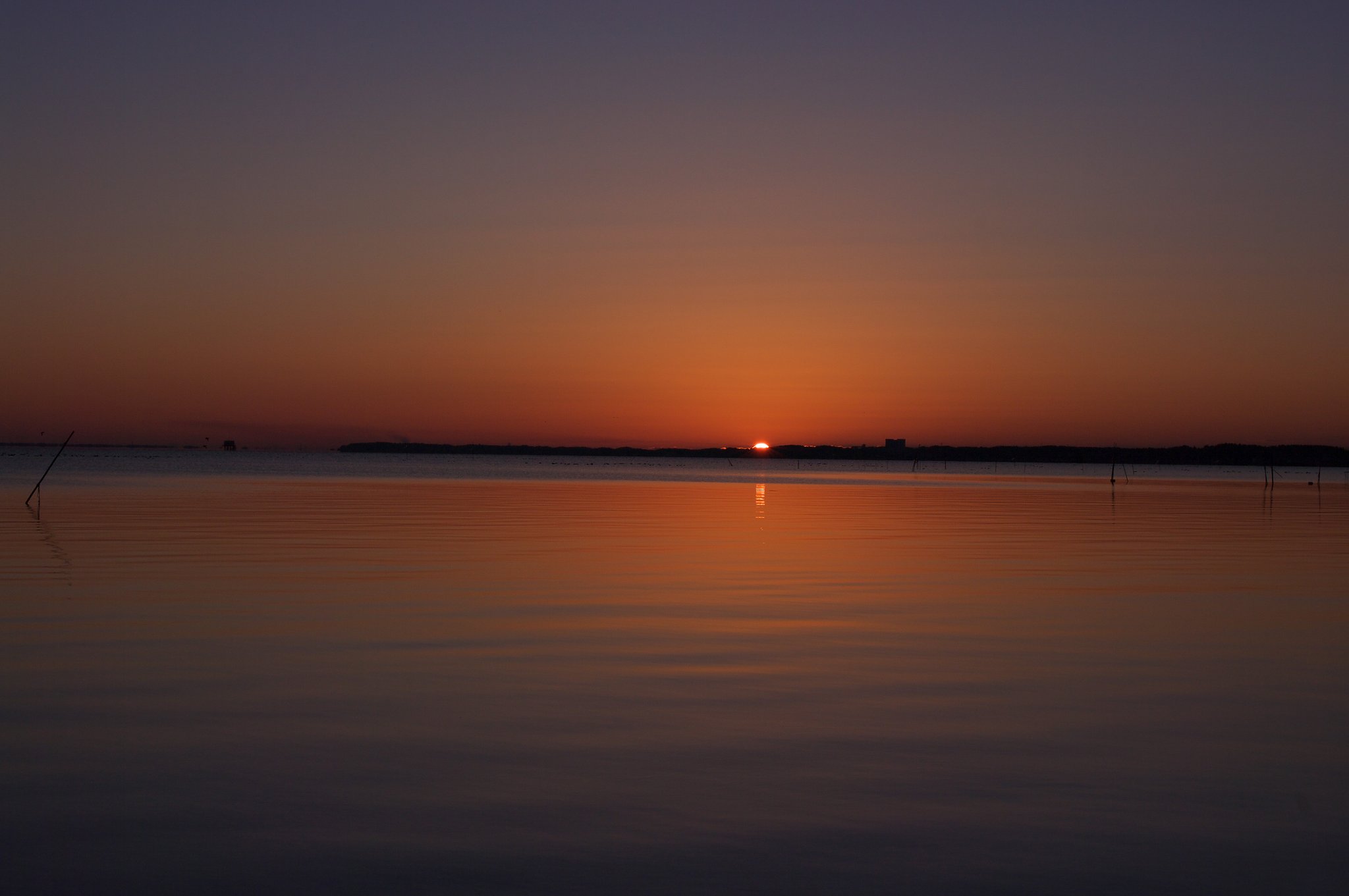 【トキメキの色】RISING SUN・・・