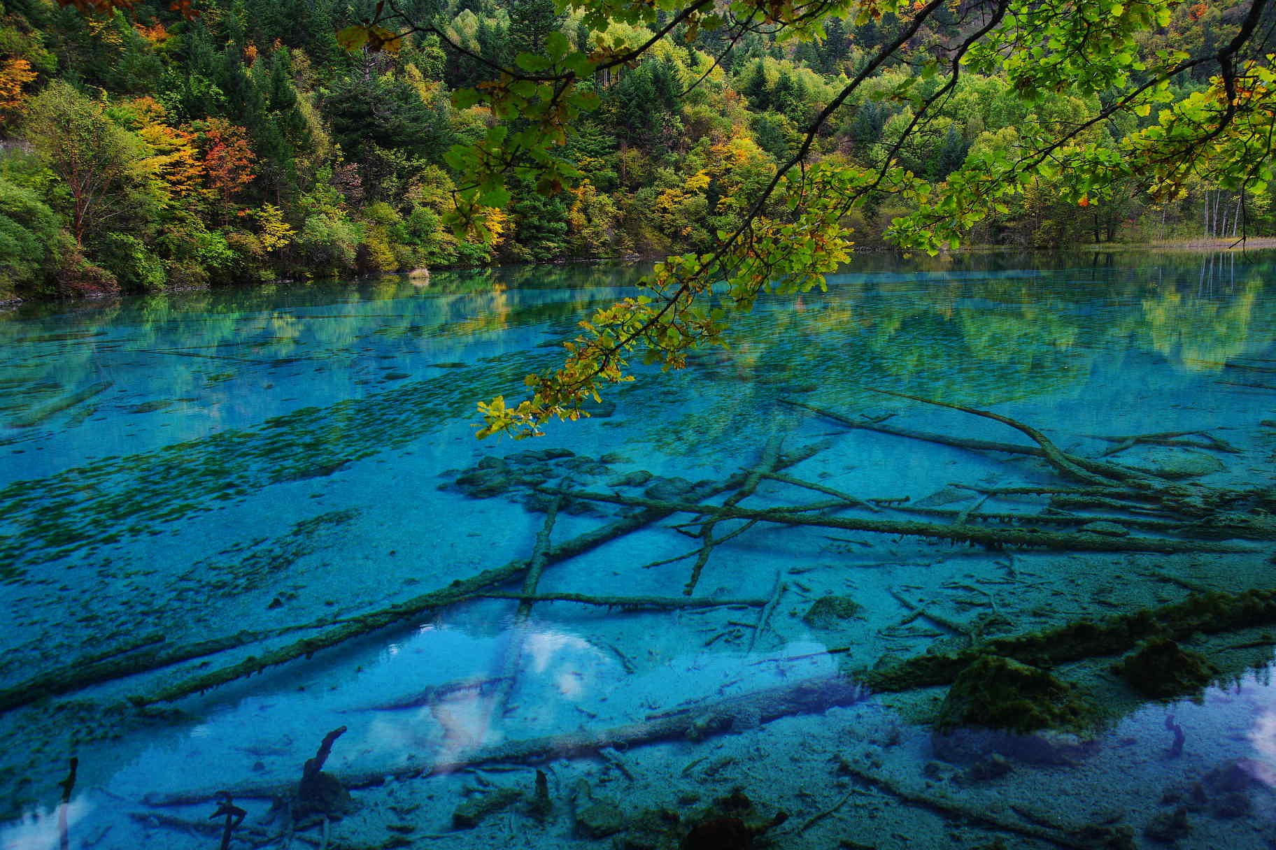 世界遺産・中国九寨江１