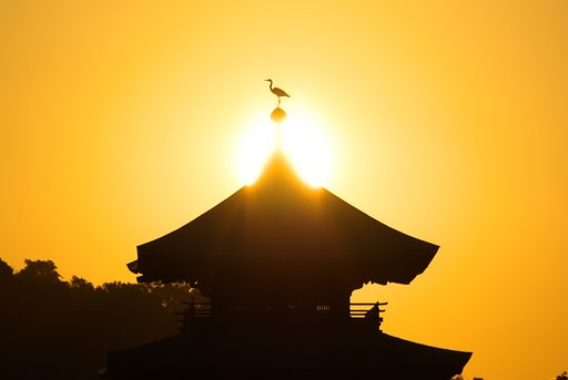 おまえは鳳凰か！