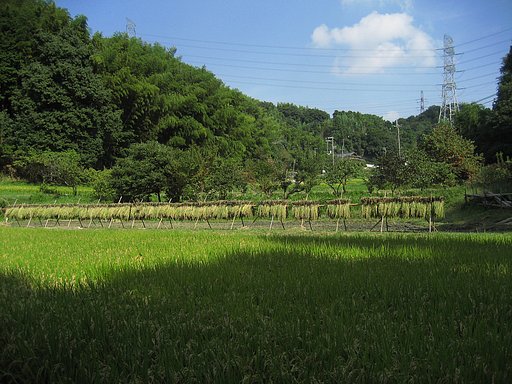 山里の秋