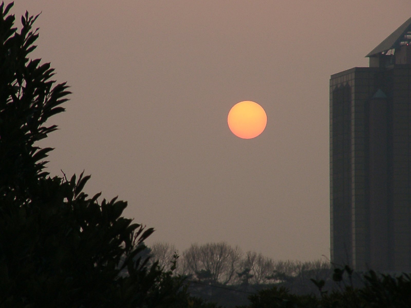▲日本画風の夕暮れ-26