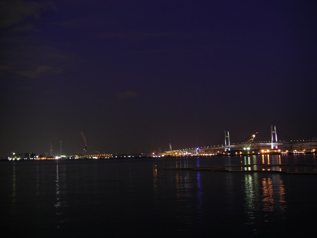 夜景にチャレンジ　山下公園からの海方向