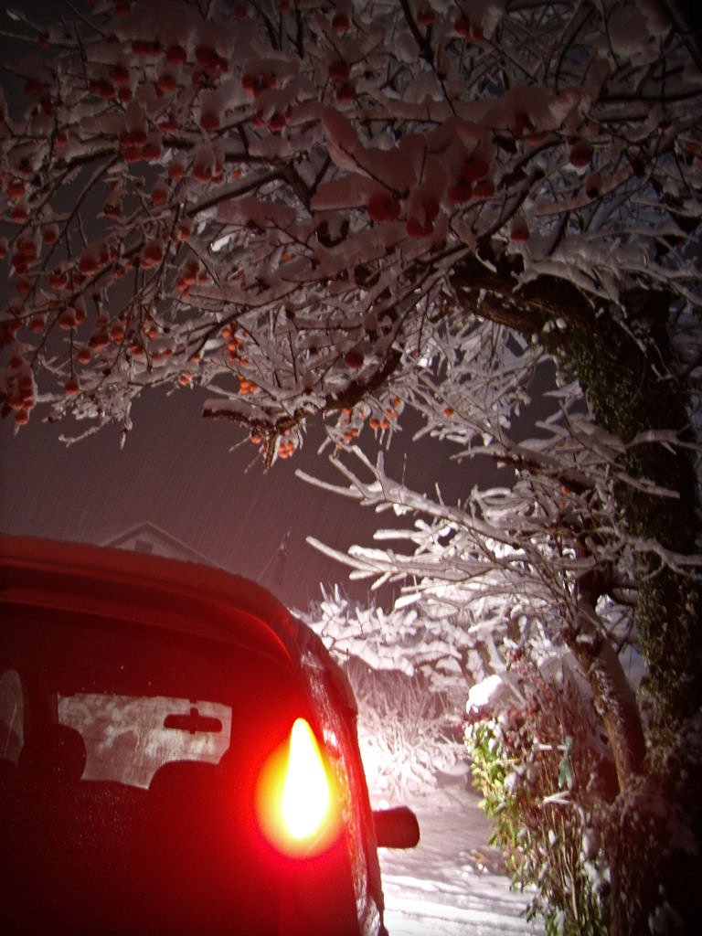 今夜も雪道を帰って来ました